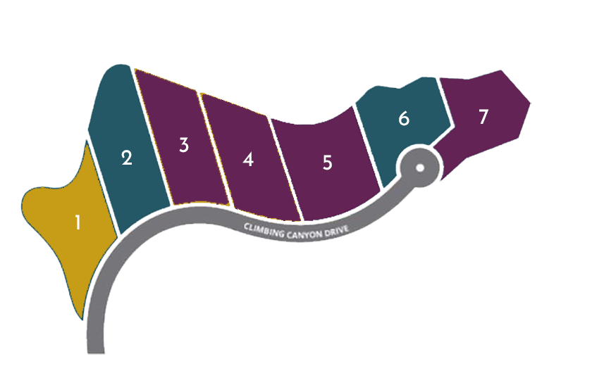 Climbing canyon