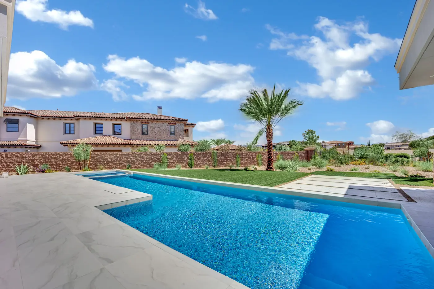 The pool from the patio edge with a palm behind it